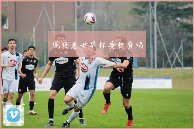 现场看世界杯要收费吗