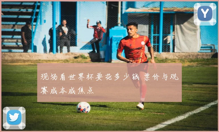 现场看世界杯要花多少钱 票价与观赛成本成焦点