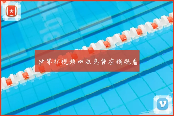 世界杯视频回放免费在线观看