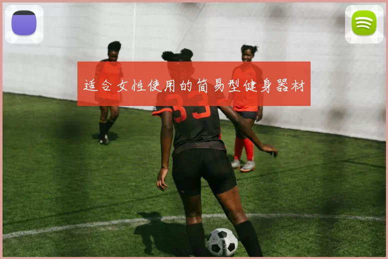 适合女性使用的简易型健身器材