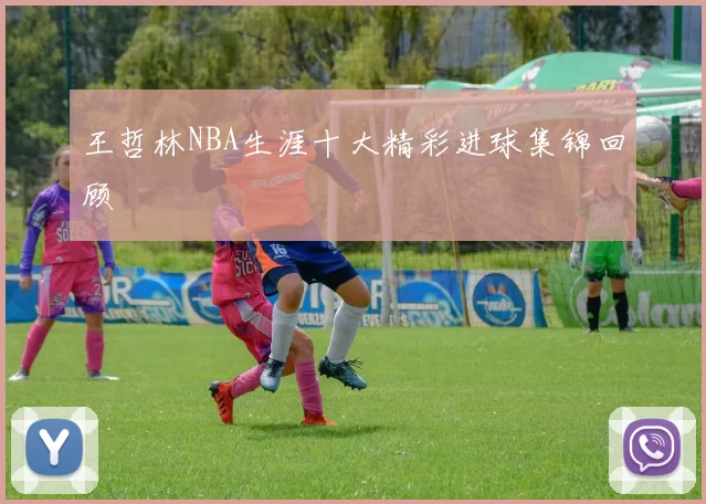 王哲林NBA生涯十大精彩进球集锦回顾