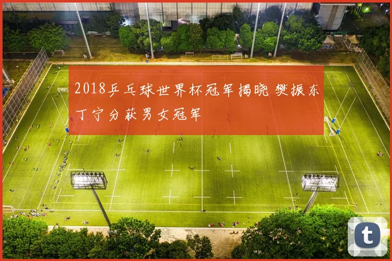 2018乒乓球世界杯冠军揭晓 樊振东丁宁分获男女冠军