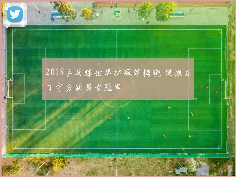 2018乒乓球世界杯冠军揭晓 樊振东丁宁分获男女冠军