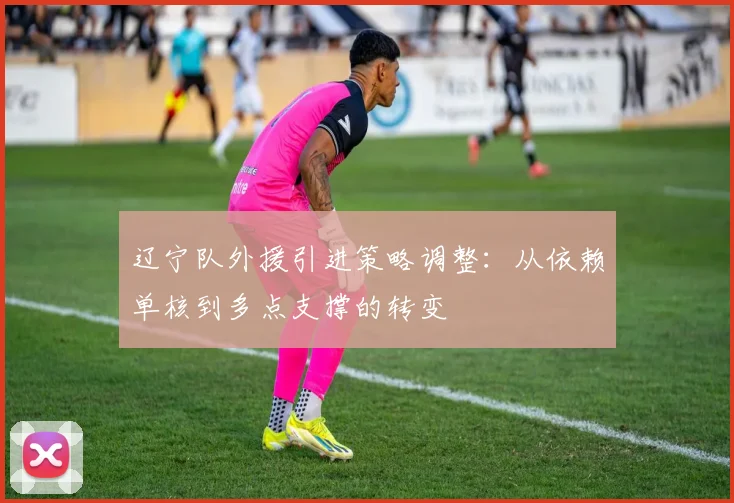 辽宁队外援引进策略调整:从依赖单核到多点支撑的转变