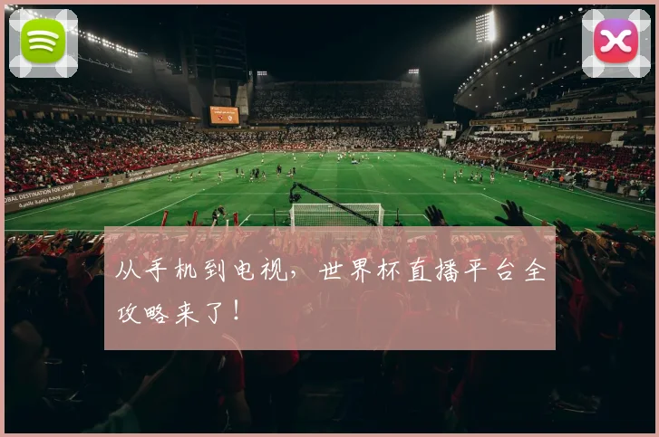 从手机到电视,世界杯直播平台全攻略来了!