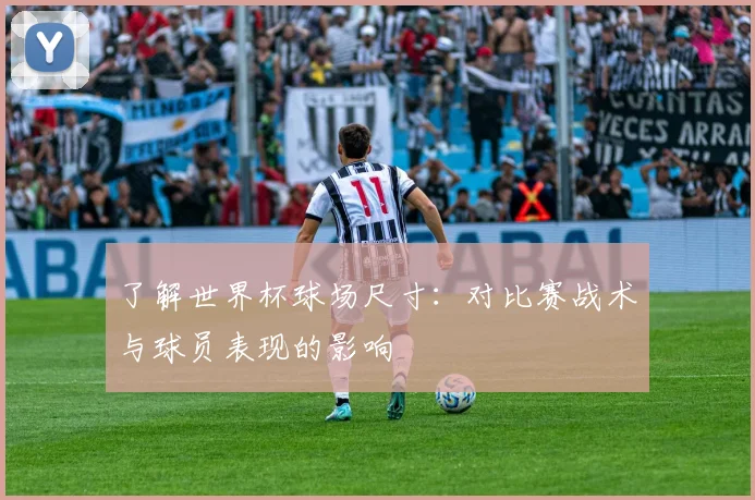 了解世界杯球场尺寸:对比赛战术与球员表现的影响