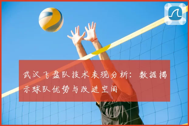 武汉飞盘队技术表现分析：数据揭示球队优势与改进空间