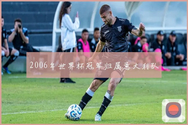 2006年世界杯冠军归属意大利队