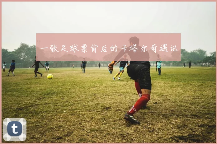 一张足球票背后的卡塔尔奇遇记