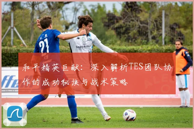 和平精英巨献：深入解析TES团队协作的成功秘诀与战术策略