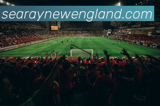 华体会手机网页版服务体系